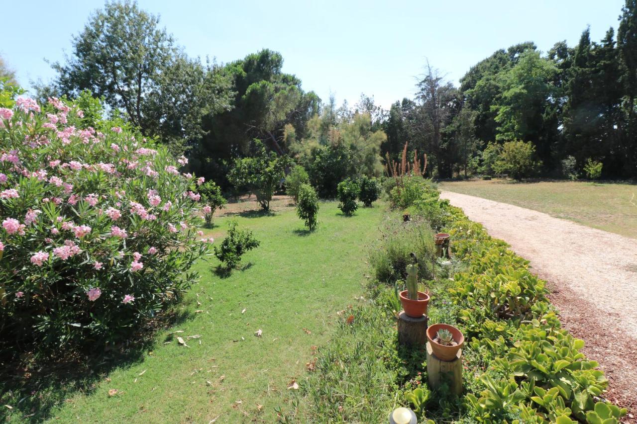 Duplex 130M2 Dans Un Mas Entoure De Vergers - Piscine Saint-Feliu-d'Avall Bagian luar foto